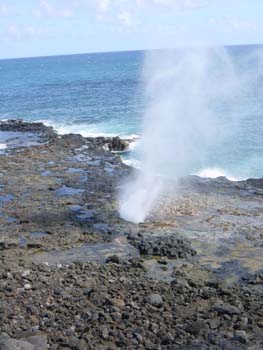 Spouting